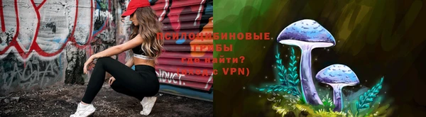 ПСИЛОЦИБИНОВЫЕ ГРИБЫ Бугульма