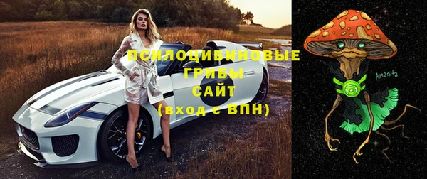ПСИЛОЦИБИНОВЫЕ ГРИБЫ Бугульма