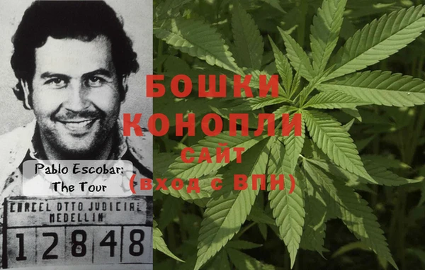 ПСИЛОЦИБИНОВЫЕ ГРИБЫ Бугульма