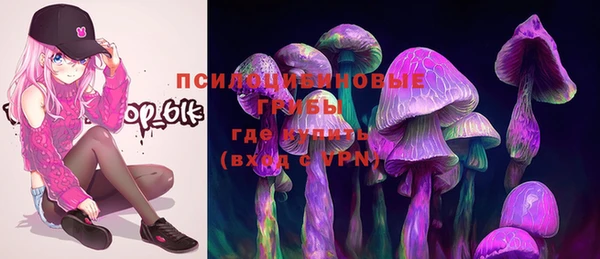 ПСИЛОЦИБИНОВЫЕ ГРИБЫ Бугульма