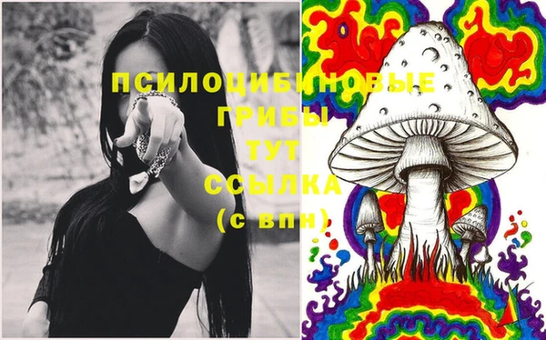 соль ск Бронницы
