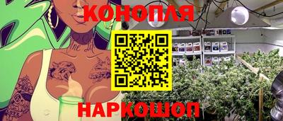 тгк Гатчина