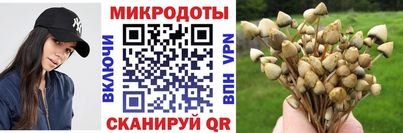 Псилоцибиновые грибы ЛСД  blacksprut ссылка  Ирбит 