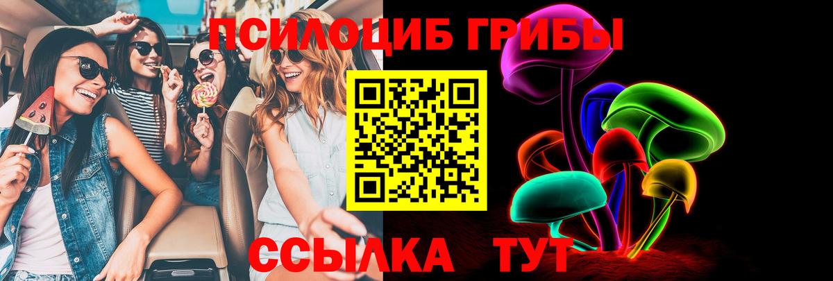 Ирбит  Псилоцибиновые грибы прущие грибы  Вход с VPN 